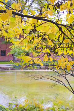 Experimentation and Exploration Assignment